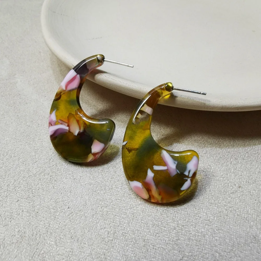 

Ins Trendy European and American Style Retro Simple Acetate Board Earrings Women Statement Fashion Popular Personalized Earrings