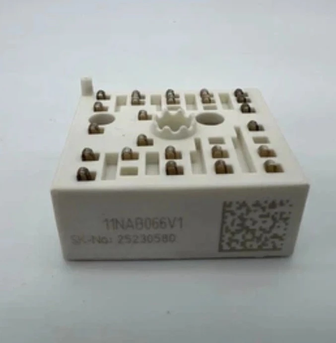 Brand New Original 11NAB066V1  Adequate Inventory Of Power Module Products Fast Delivery