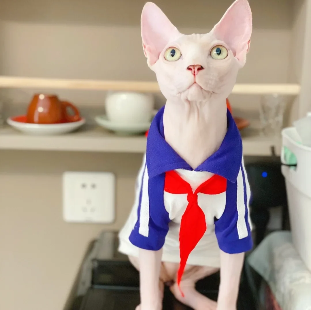 

Internet Celebrity Cotton Casual T-shirt Sphynx Hairless Cat Devon Clothes