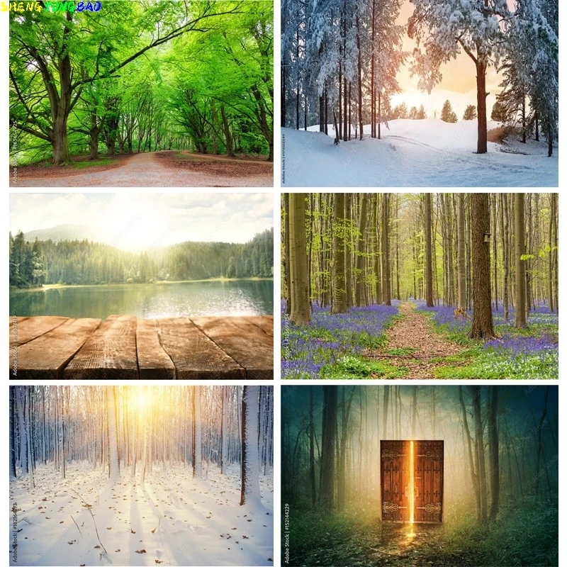 

Natural Scenery Photography Background Forest Landscape Travel Photo Backdrops Studio Props SELI-04