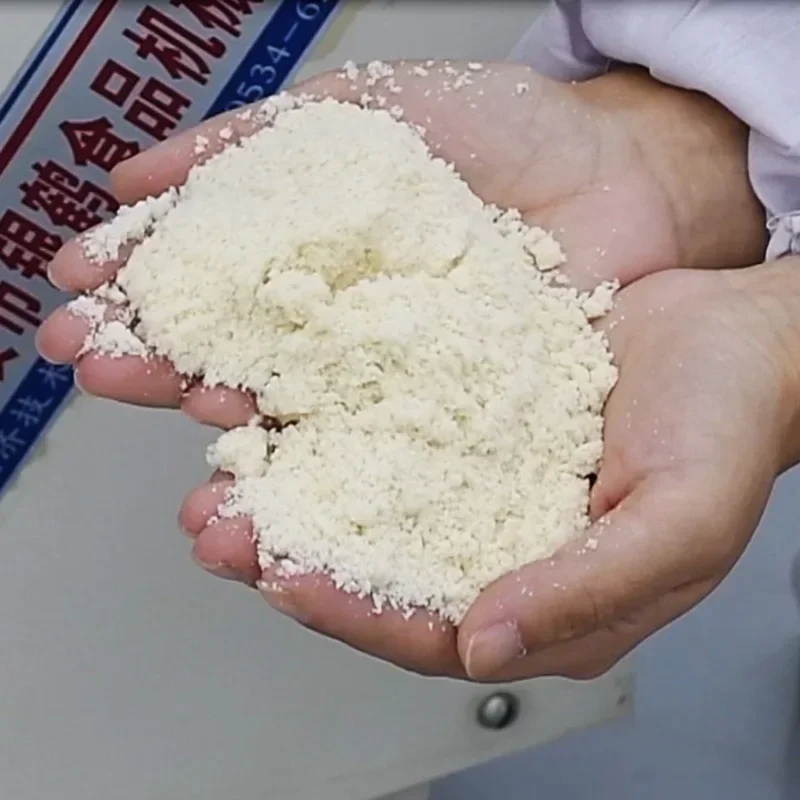 خلاط مسحوق منزلي 220 فولت 10 كجم من الفولاذ المقاوم للصدأ تجاري كبير 25 كجم خلاط حشو خلاط كهربائي صغير منزلي