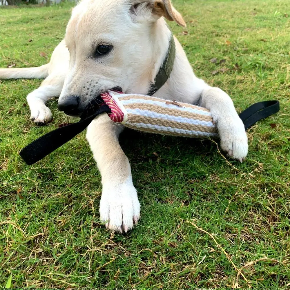 اكسسوارات الحيوانات الأليفة لدغة مقاومة الكلب لدغة وسادة التفاعلية حبل مقابض الحيوانات الأليفة مضغ العصي دائم الجوت سحب لعبة للقطط والكلاب