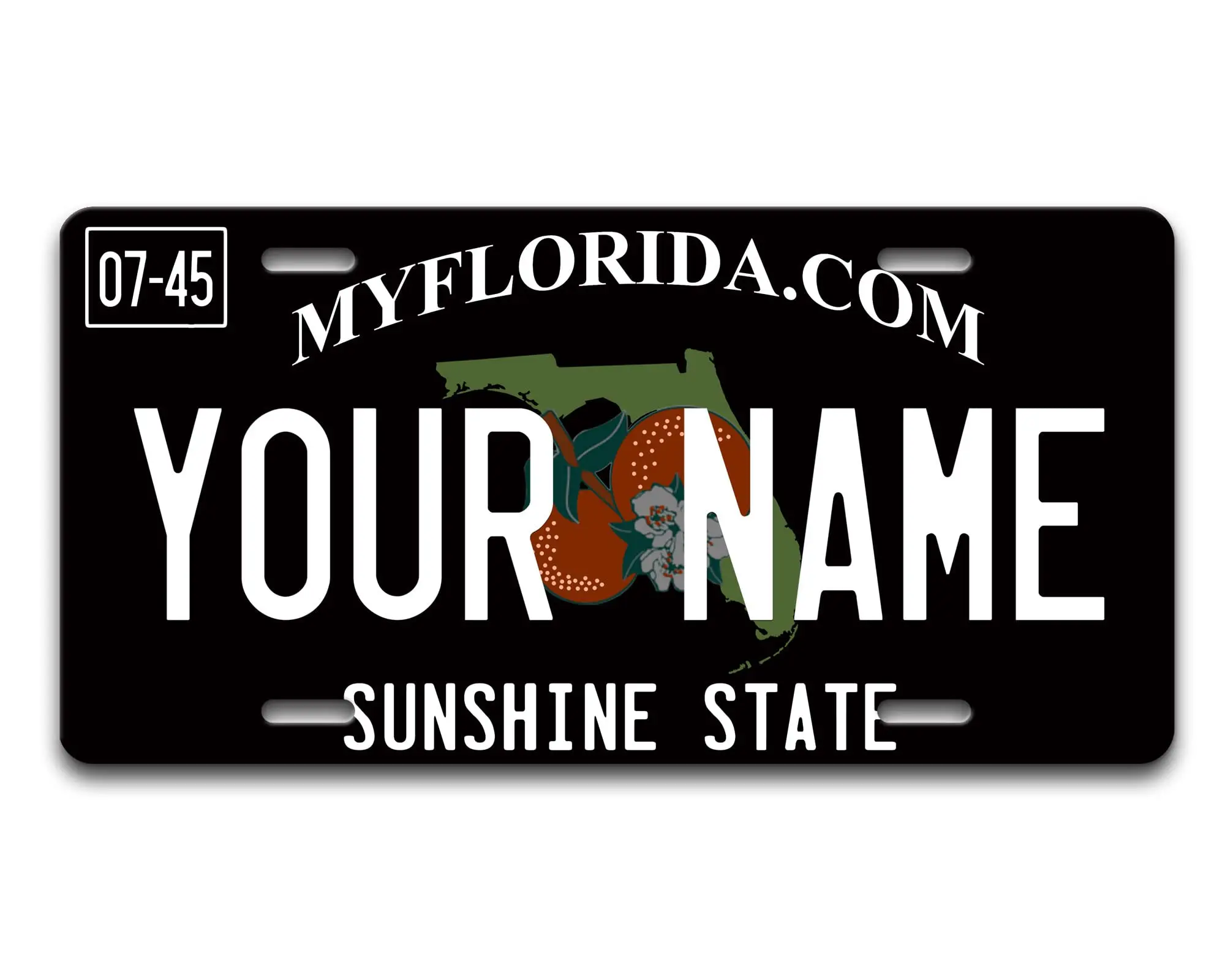 Bleu Reign Personalized License Plate Florida Blackout Holiday 2021 Car Vehicle, Add Custom Name (6x12in)