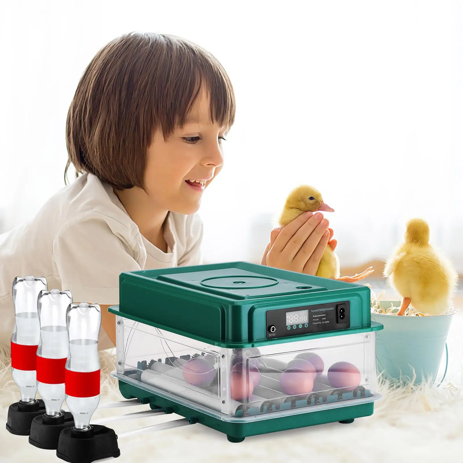 Incubator Egg Incubator Chicken Egg Incubator Fully Automatic Egg Incubator With UK Plug