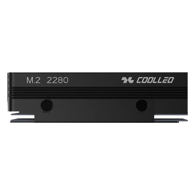 COOLLEO CL-V3 2280 M.2 SSD Heat Sink All Aluminum Double Pure Copper Heat Pipe Solid State Drive Cooler