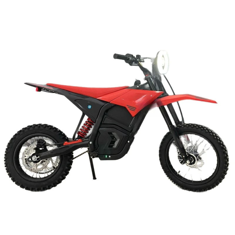 

17 inch 14 inch electric motorcycle all-terrain competitive racing mountain motorcycle