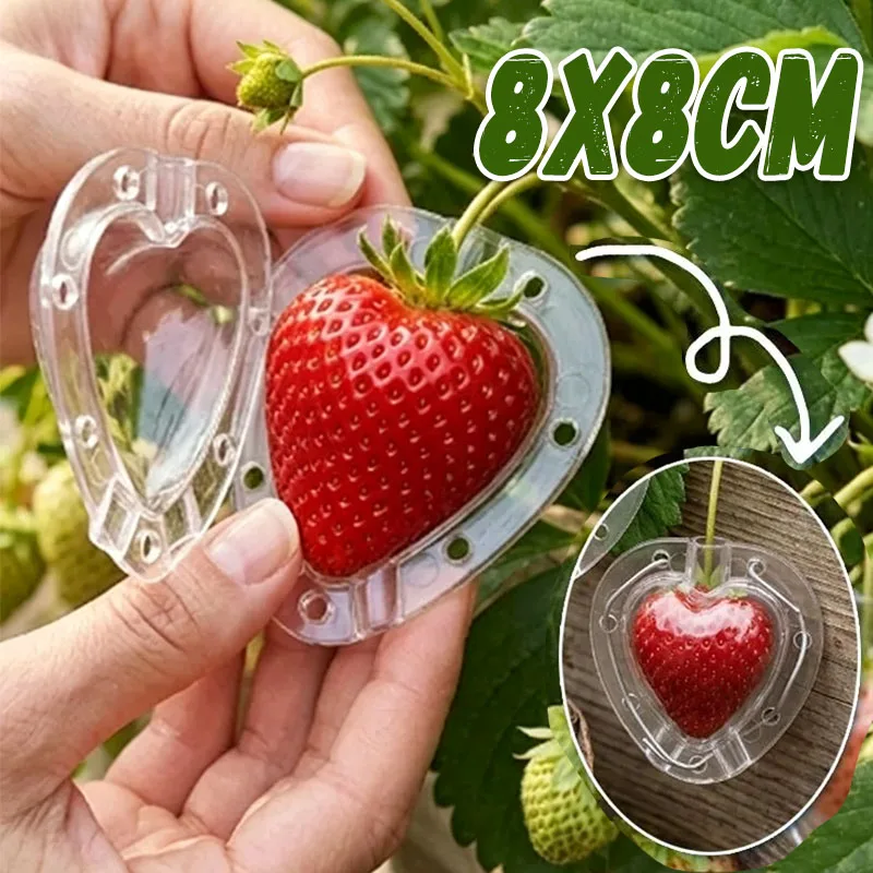 1/5pcs Heart Shape Vegetable Mold Reusable Garden Fruit Shaping Tool for Tomatoes Strawberries Transparent Fruit Forming