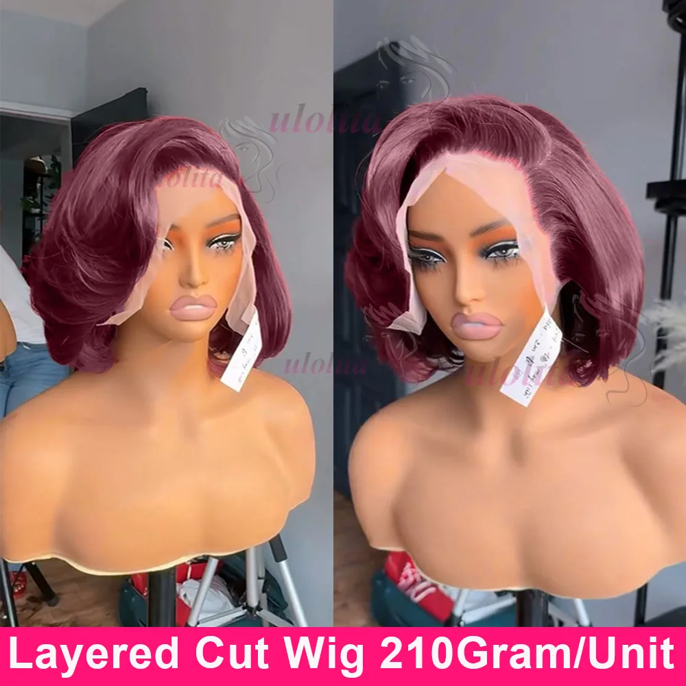 

Super Double Drawn Wigs Short Bob 99J Color 4x4/13x4 HD Lace Frontal Wig Glueless Wigs Human Hair Closure Wig Preplucked Hair