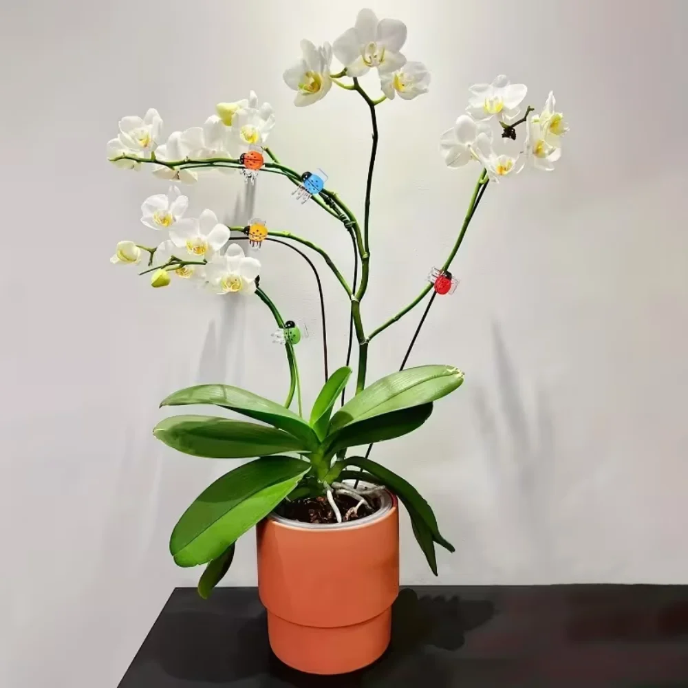 30pcs Phalaenopsis Orchid-specific Gardening Bonsai Shaping Clips Vine Fixing Clips Grafting Clips Plant Clips Landscaping Clips