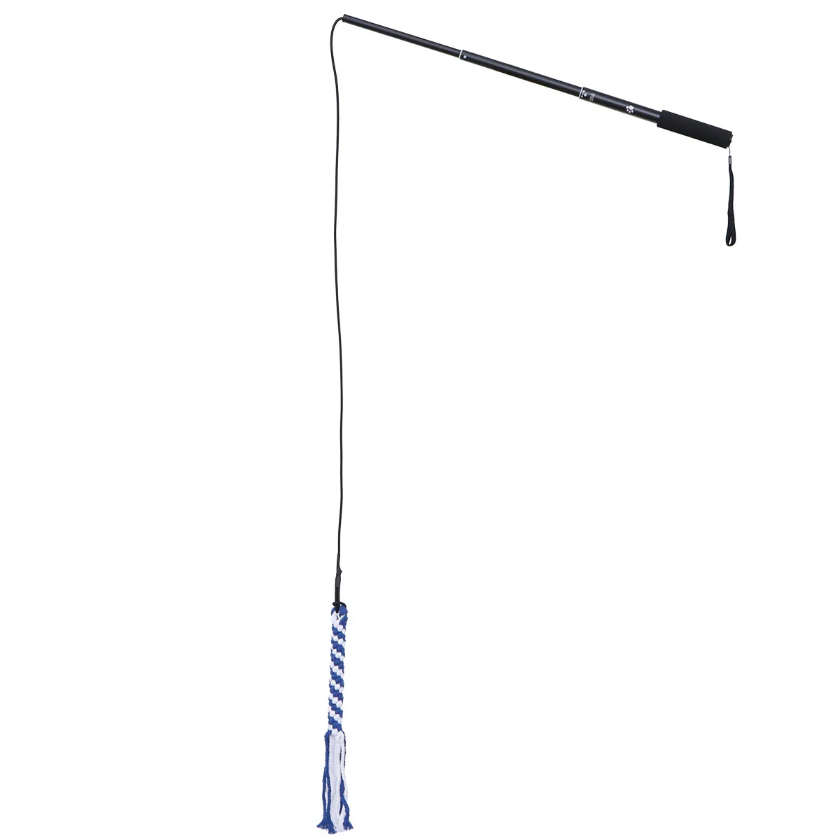 

Удочка-дразнилка для собак, телескопическая, складная, для интерактивных игр с щенками, для игры в догонялки, для тренировки питомцев, черная, размер L