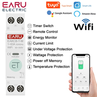 Tuya WiFi Smart Circuit Breaker MCB Timer 1P+N 63A Power Energy kWh Voltage Current Meter Protector Voice Remote Control Switch