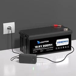 12V 200 Ah LiFePO4 Deep Cycle Battery with 200 A BMS, 2560 Wh Energy for Motorhomes, Camping, Solar Off-Grid System, Boats