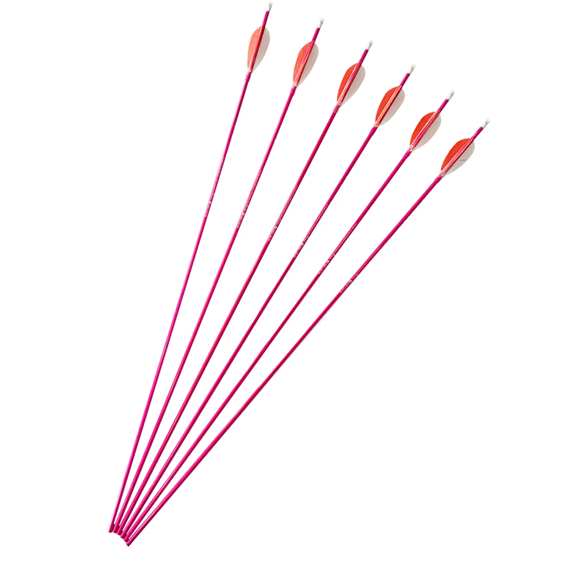 Archery Carbon Arrow Spine600, 800, 80GR Point, 3Inch Turkey Feather, Bow Hunting Shooting, 12Pcs