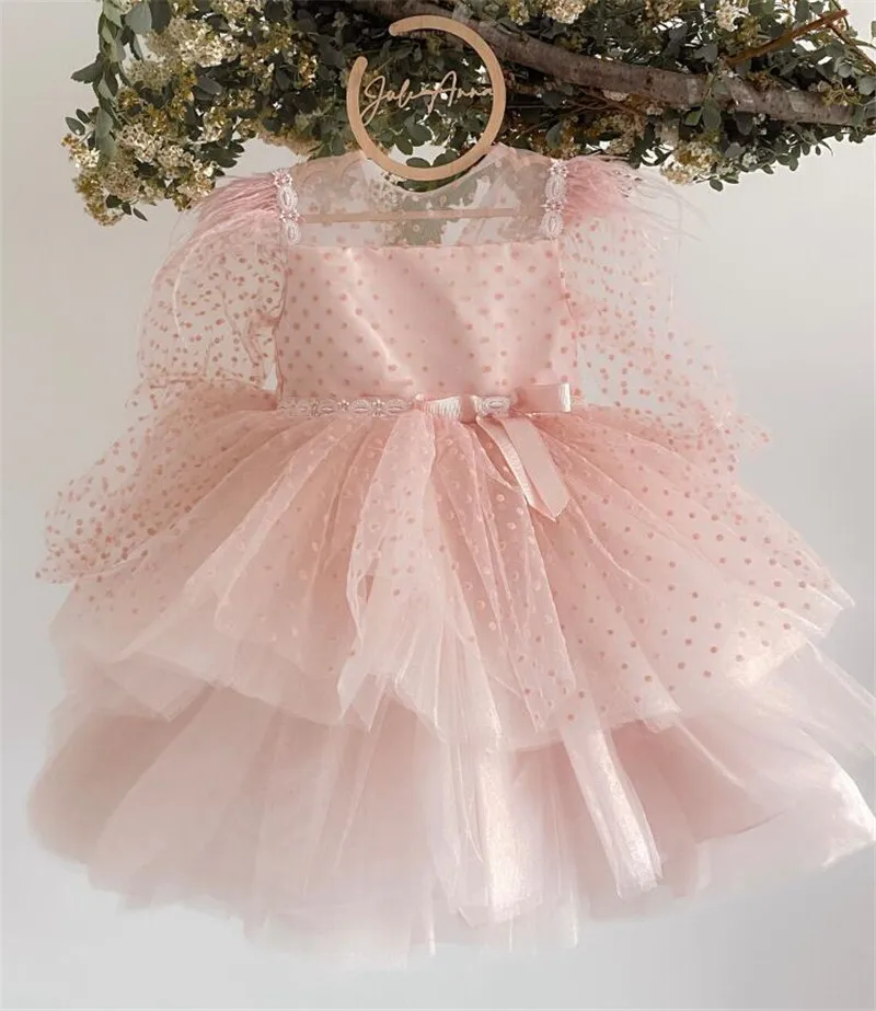 

Dusty Rose Flower Girl Dress Dotted Tulle Sheer Neck Long Sleeve Princess Birthday Dress Party Gown First Communion Dress