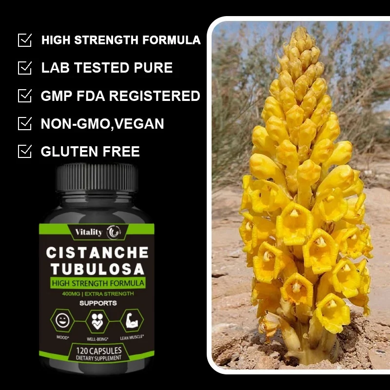 Vitality Cistanche Tubulosa 보충제, 비건, 지능, 성능, 에너지 및 근육 질량 지지대, 기분 향상