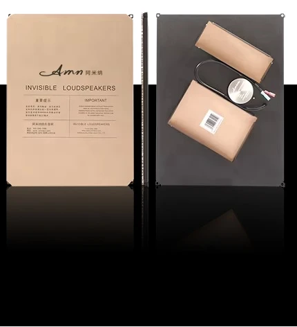 Fashion Simple Best Sound Invisible Smart Sound Speaker for Background Music Manufacturer AMN-A1M