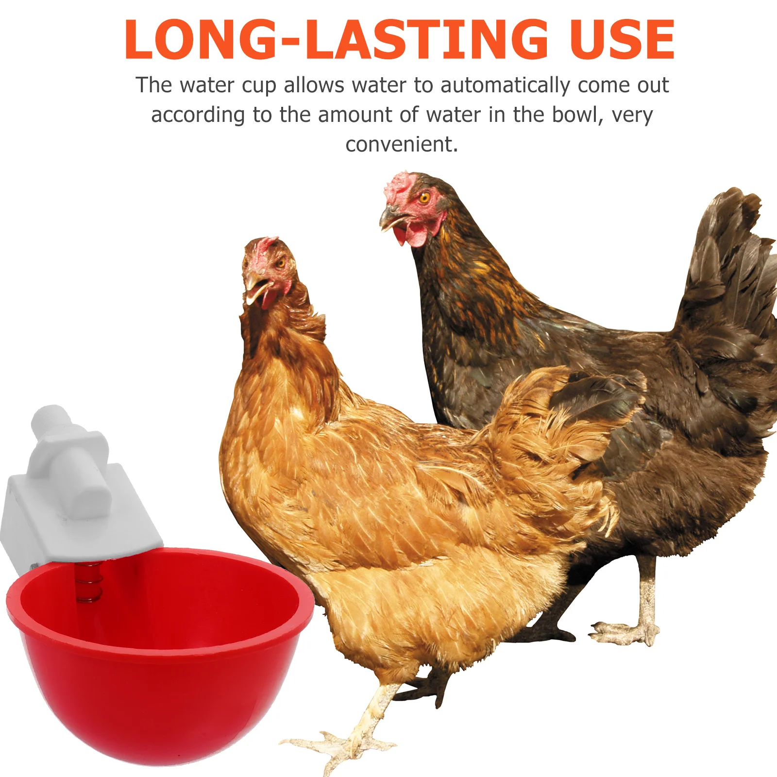 

1Set Automatic Chicken Water Cups PP Material Poultry Water Feeder Smooth Removable Drinking Bowls Suitable for Chicks Ducks