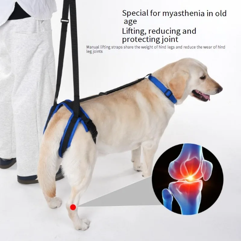 Dog Hind Leg Support Sling for Stairs, Adjustable Lift Harness for Senior Disabled Dogs, Mobility Aid for Up Down Stairs