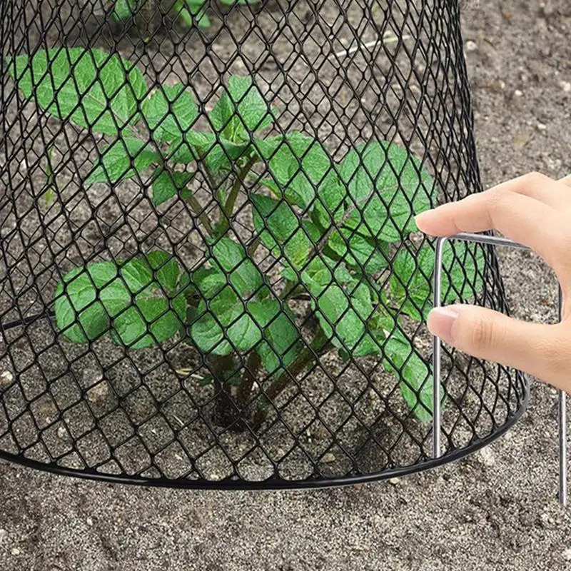 5pcs Chicken Wire Cloche Plant Covers Garden Plants Protection From Animals Plant Cage for Fruit Outdoor Seedlings Protectors