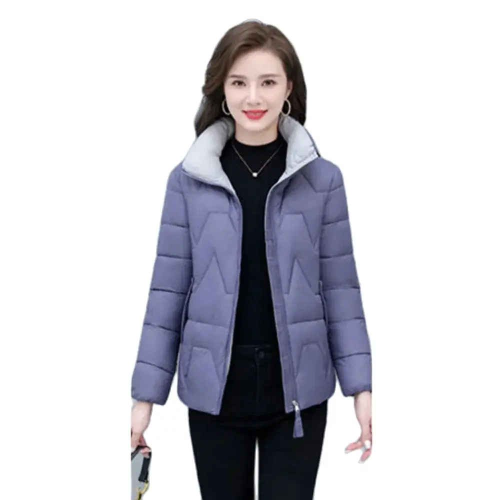 New Stand-up Collar Fashion Cotton-padded Clothes Ladies Loose Warm And Comfortable Temperament Casualwinter Coat Wome'n  Tide.