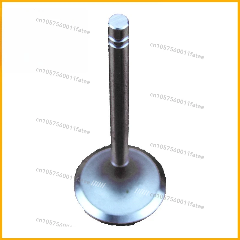 

NT855 Engine Exhaust Valve 145701 Pump Assembly for Construction Machinery - High Quality