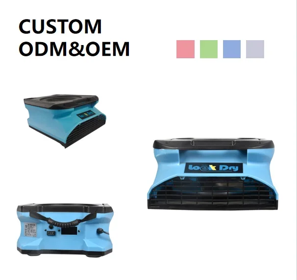 

OEM Customizable 220V High Efficiency Jet Blower Fan 50Hz Electric Centrifugal with High Pressure for Carpets Walls Plumbing Use