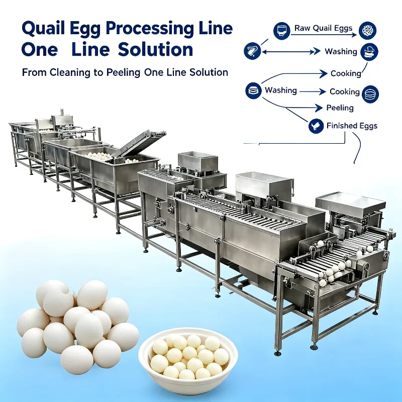 Quail Eggs Production Line Boiled Quail Egg Peeling Machine Quail Egg Boiling Peeling Processing Production Line FL Customized