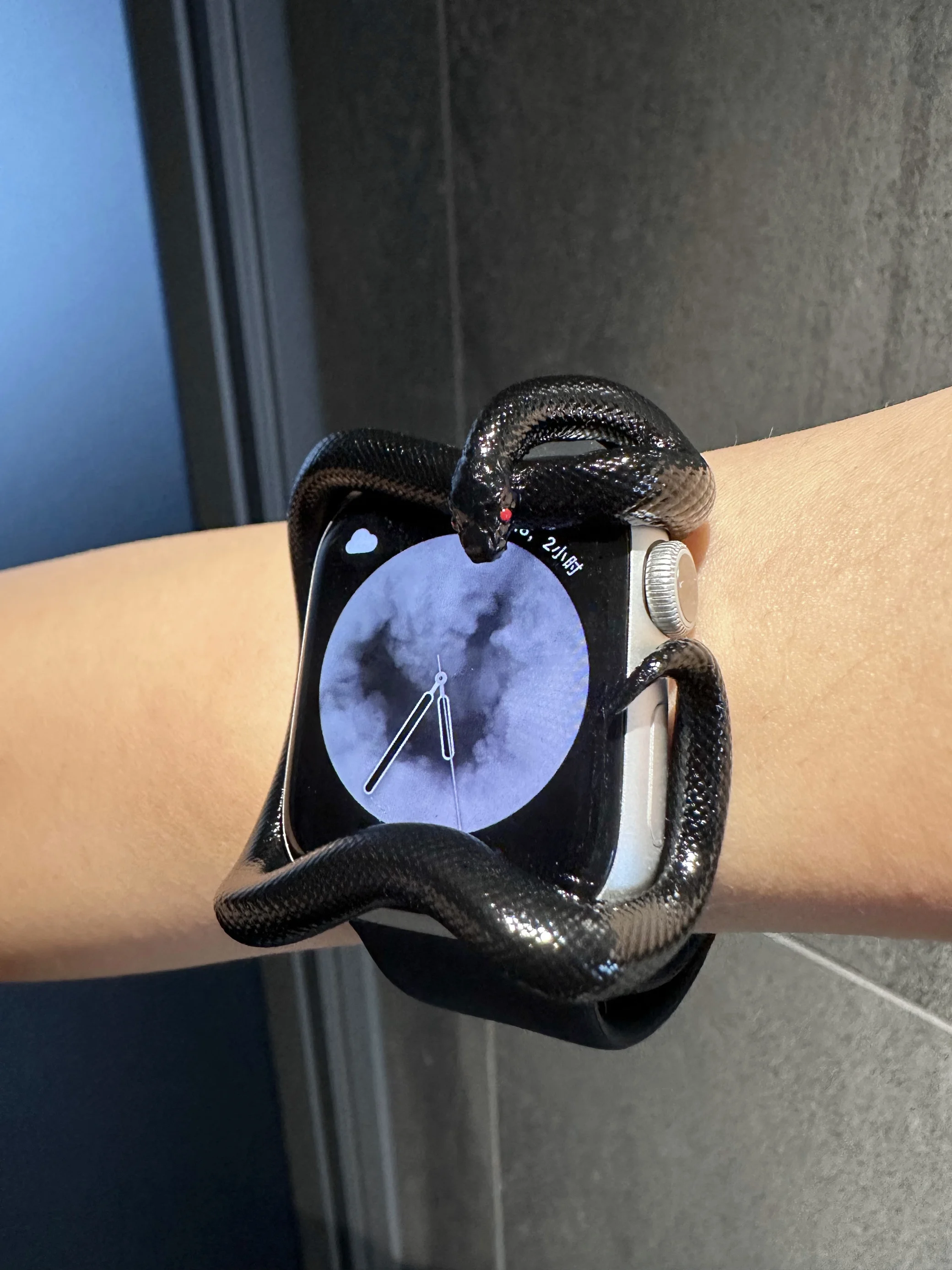 Cassa per orologio in material - 3D Printing Design Software recensione e prezzo