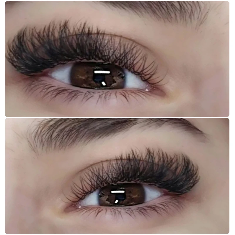 Extensions de cils 3D en forme de W, C/D/Curl, faux cils en vison naturel, volume préfabriqué