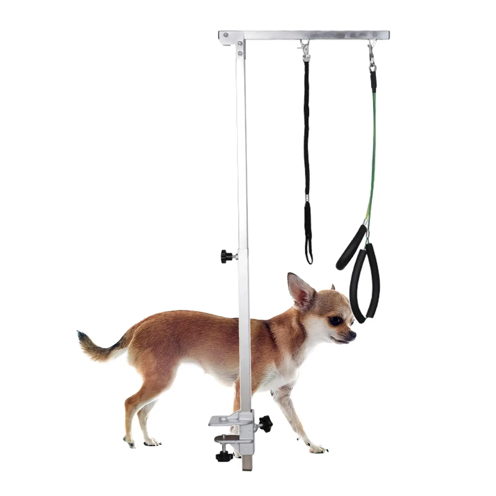 Pet Dog Grooming Arm Pet Grooming Arm Tool Adjustable with Clamps Loop Noose