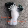 Single Layer