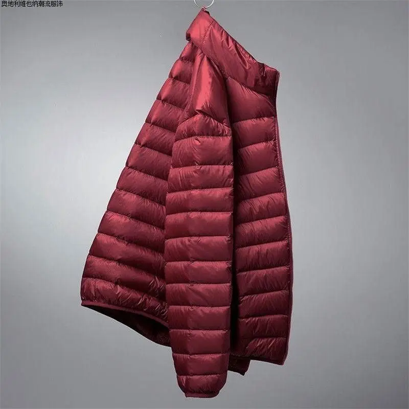 2024 New Light and Thin Down Cotton Men's Stand-up Collar Hooded Thermal Jacket winter jacket men