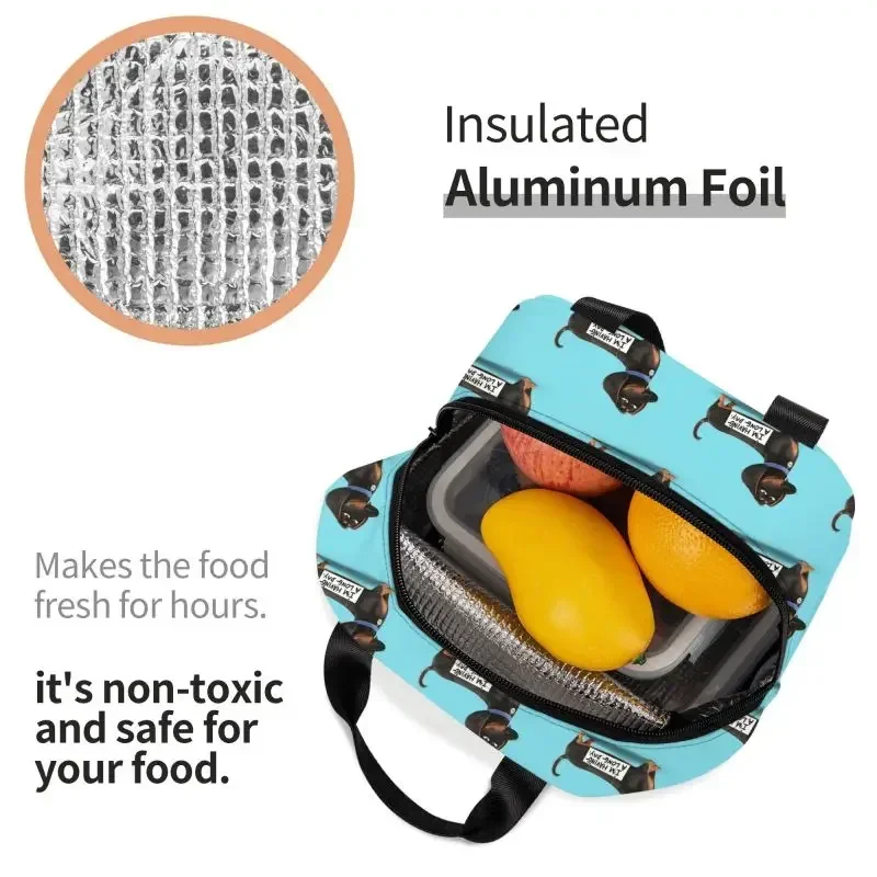 Bolsa de almuerzo con aislamiento para cachorros divertidos de perro salchicha para mujer, refrigerador térmico impermeable para mascotas, fiambrera para playa, Camping, viaje
