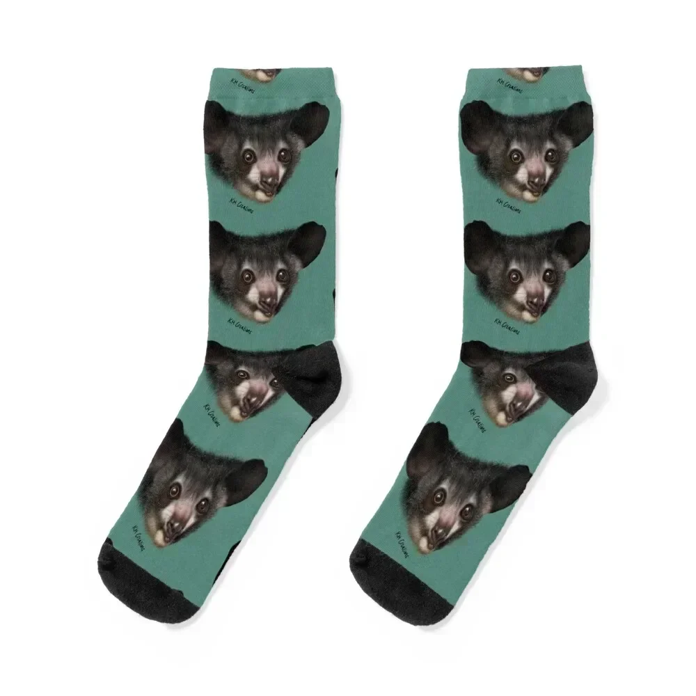 Aye-Aye #2 Socks So… - image