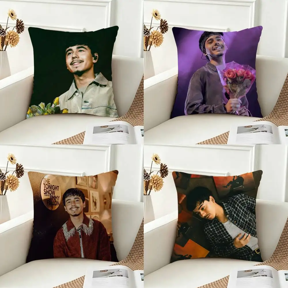 Ivan C-Cornejo Double-sided Printed Square Decorative Cushion Cover for Sofa Living Room Home Decor