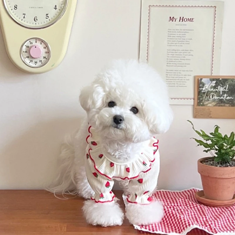 

Poodle Strawberry Vest Summer Thin Lace Dog Clothes Pet Teddy Breathable Pullover Bichon Frise T-Shirt Clothes