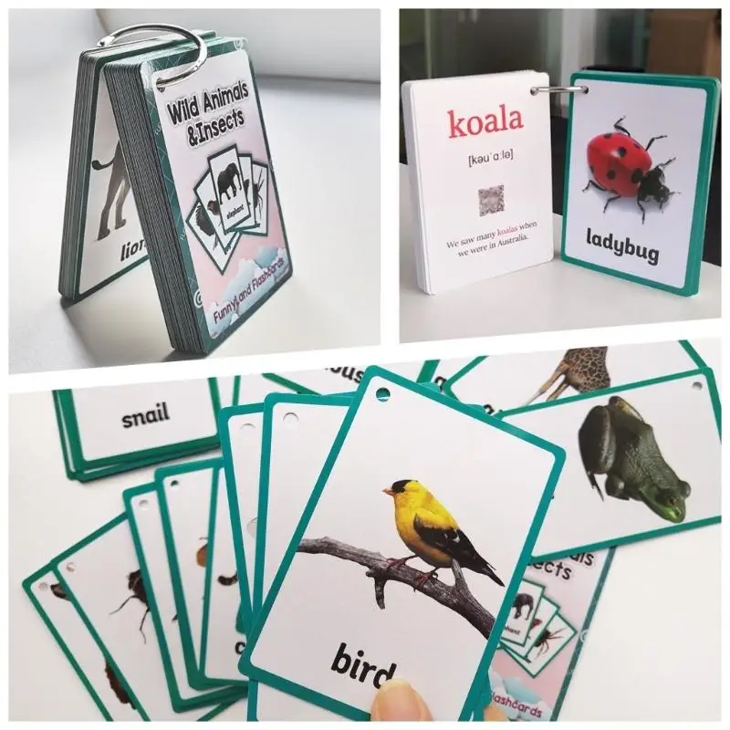 36Pcs Wildlife Insect Flash Cards For Kid Learning With Bright Pictures Words
