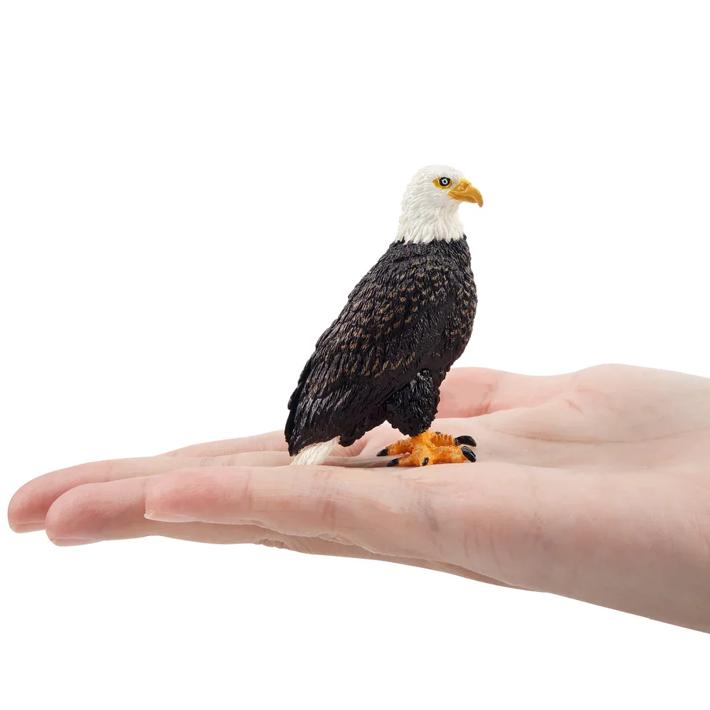 Toymany Simulation Eagle Wildlife Animal Model Toy Mini Figures Dolls Action Figurines Toys for Children Gift Cake Decoration