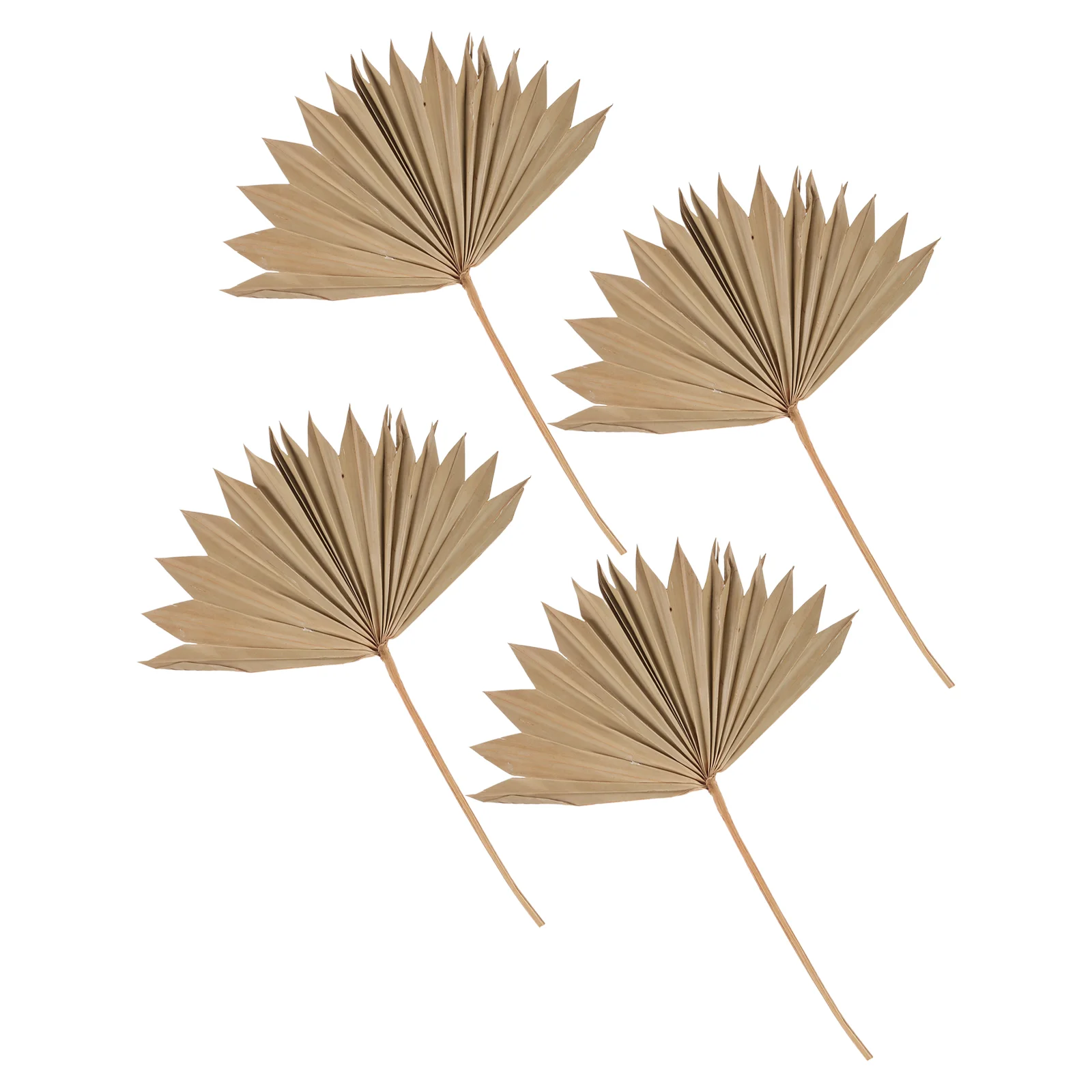 

4 Pcs Nordic Decorative Cattail Leaf Festival Scene Wedding Dried Ornament Unique Adorn Beige Photography Prop