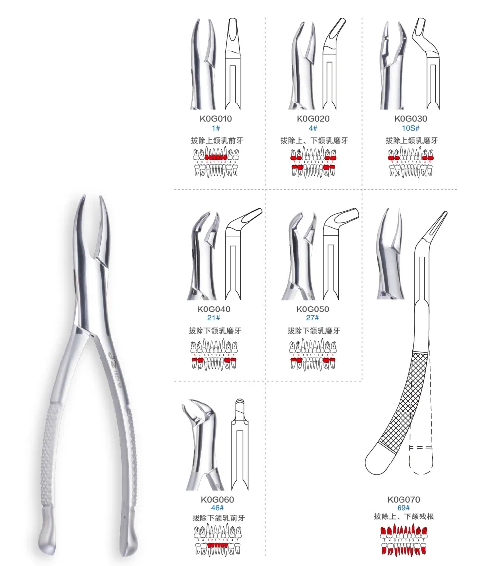 

Medical forceps/extraction forceps/Extracting forceps