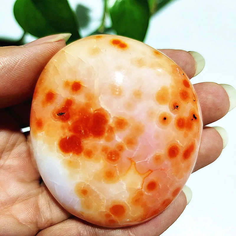 Natural Stone Sardonyx Agate Crsytal Palm Aquarium Decor Ornaments Gem and Reiki Meditation Spiritual