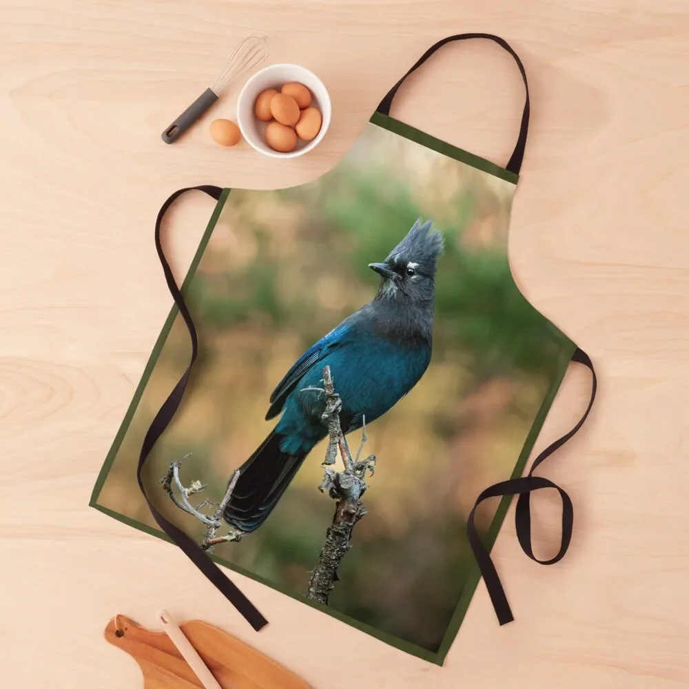 

Steller's Jay Apron Kids useful gadgets for home Women's Kitchen Salon Apron