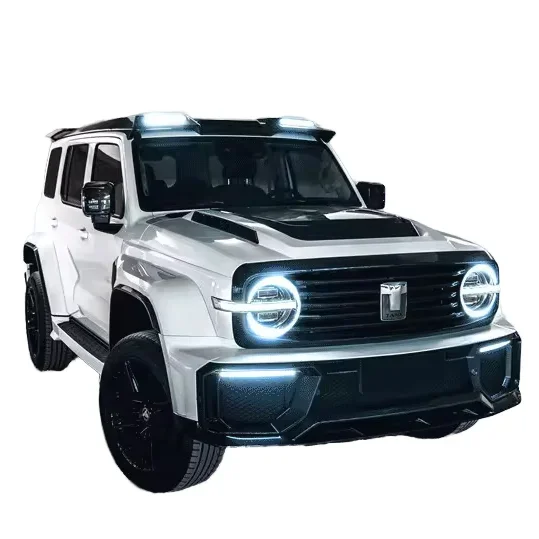 Wholesale auto parts car bumpers utv 4x4 rock lights others car light accessories land cruiser Tank 300 Martian customized