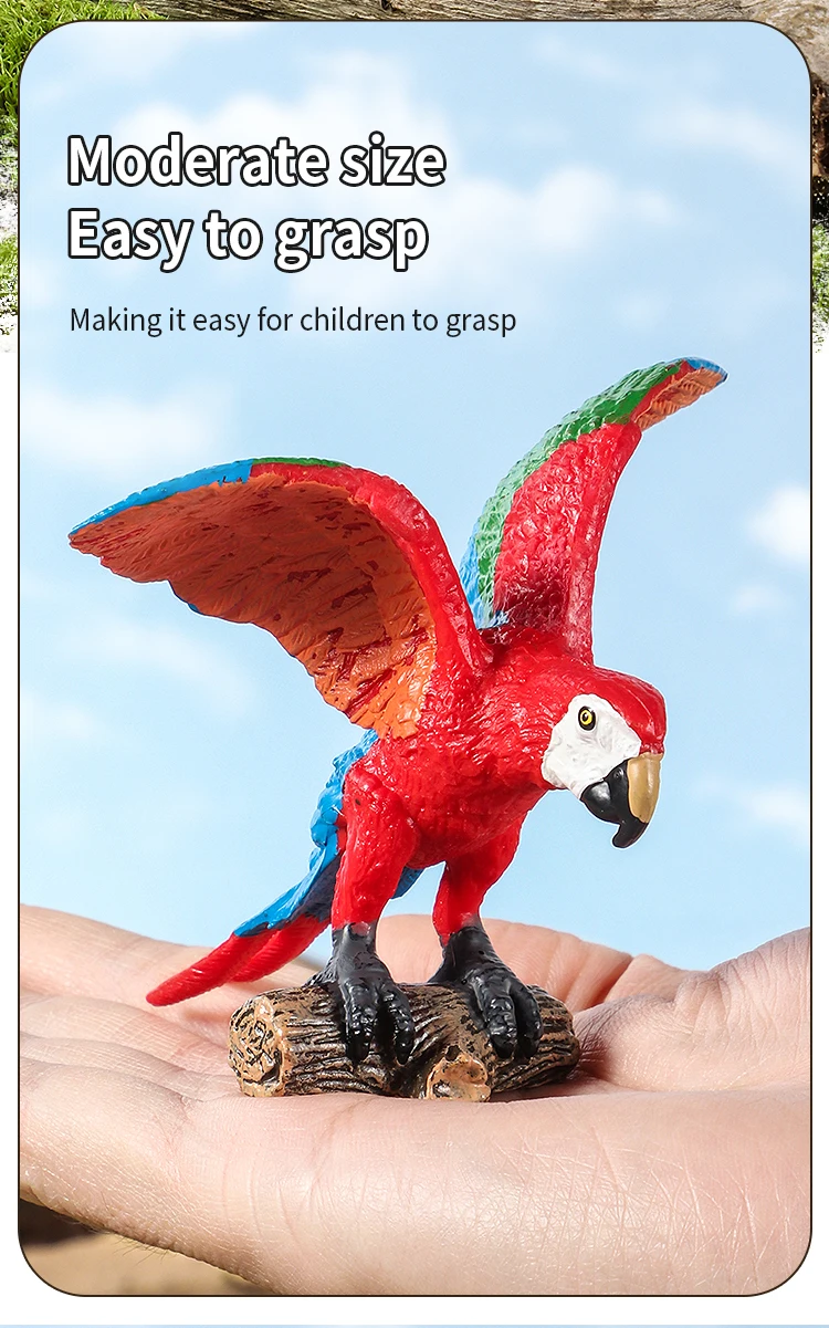 Realistische Vogelfiguren-Set - Papageien-Lernspielzeug für Kinder Simulierte Plastik-Tiermodelle Tierfiguren-Sammlung – Detail 4