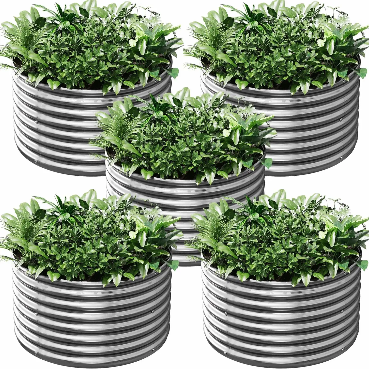 

5 Pack 2x2FT Round Galvanized Raised Garden Bed Outdoor,Metal Garden Bed for Vegetables,Steel Raised Beds for Gardening,Above Gr