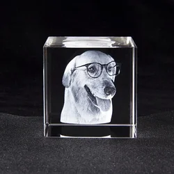 Personalized Sympathy Tribute Custom Gift for Loss of Beloved Pet with  3D Crystal Decor Keepsake Offering for Departed Loved