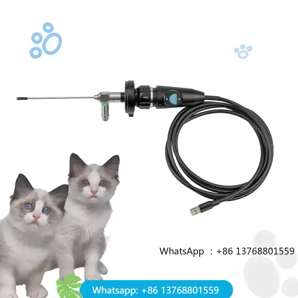 Cat Dog Sheep Cow Animal Pet Veterinary Medical Endoscopic 1080P Portable For Rigid Endoscope