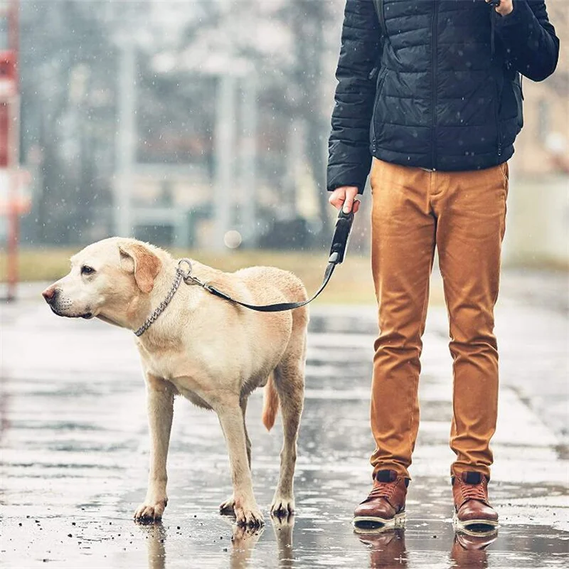 스테인레스 스틸 개 목걸이 체인 P 레버, 중형 대형 애완 동물, 몸부림 방지, 당기지 않는 목 슬립 칼라, 걷기 액세서리, 10mm