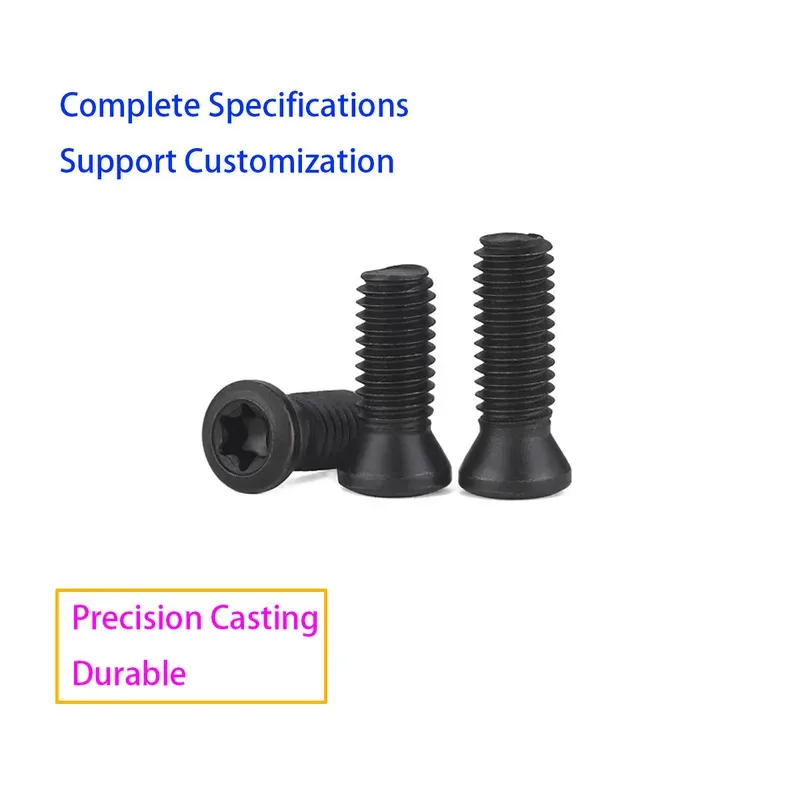 Hex Torx Head Screw Black Stainless Steel Bolt Security Tamper Proof