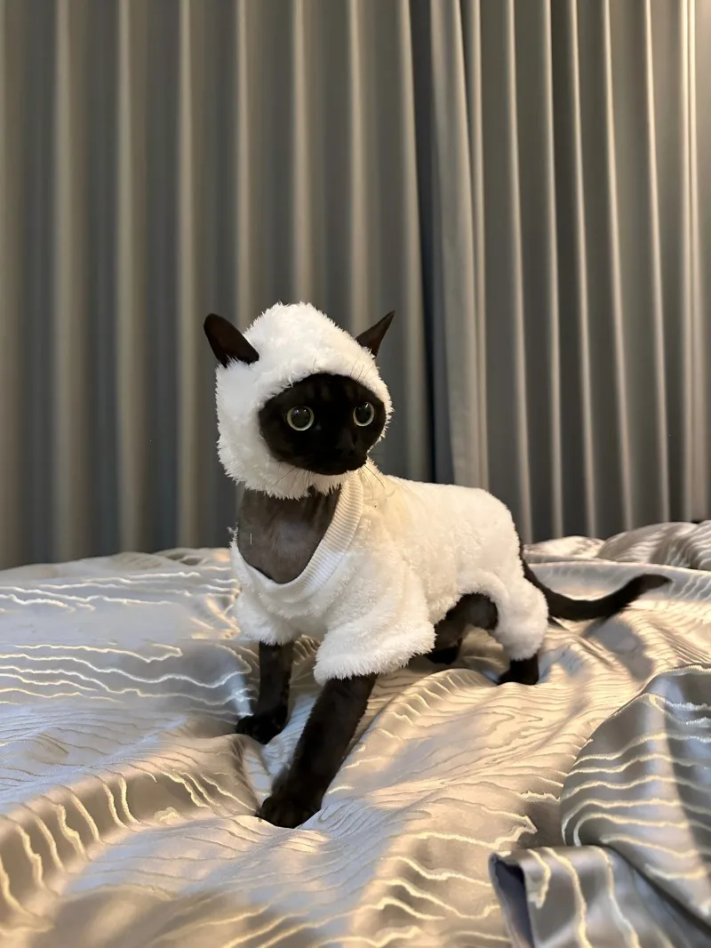 Hairless cat clothes autumn and winter thickened polar fleece warm four-legged sphinx devon cat lamb double-sided fleece cotton